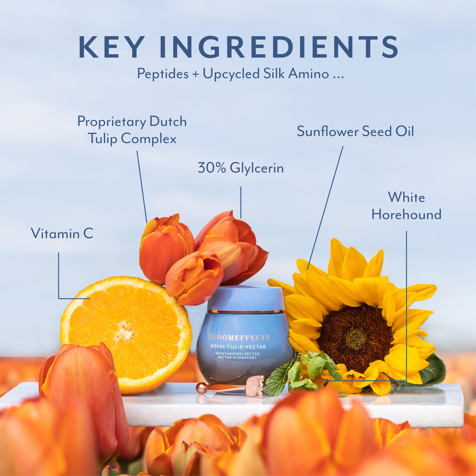 KEY INGREDIENTS. Peptides + Upcycled Silk Amino...Proprietary Dutch Tulip Complex, Vitamin C, 30% Glycerin, Sunflower Seed Oil, White Horehound